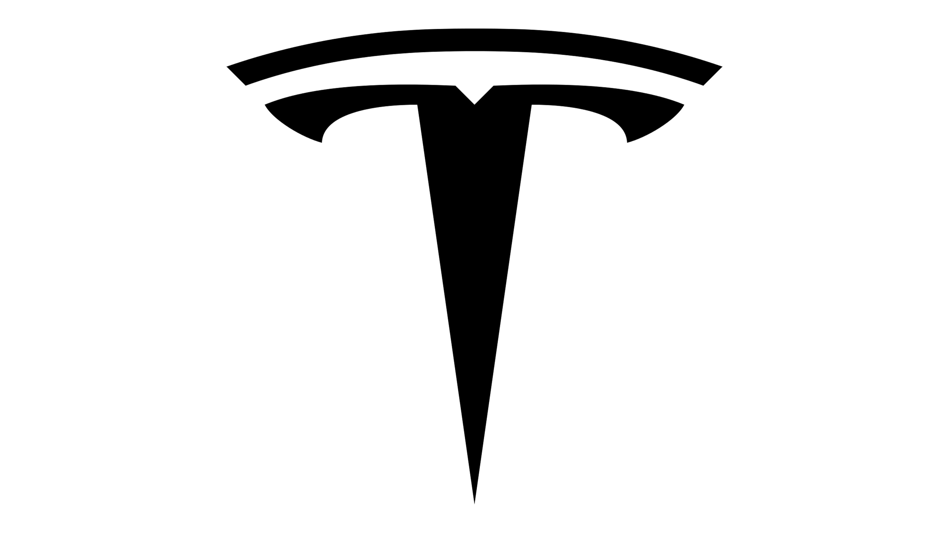 Teslanews Logo