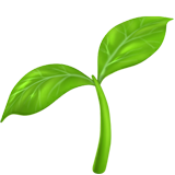Native Plant Seeds Logo