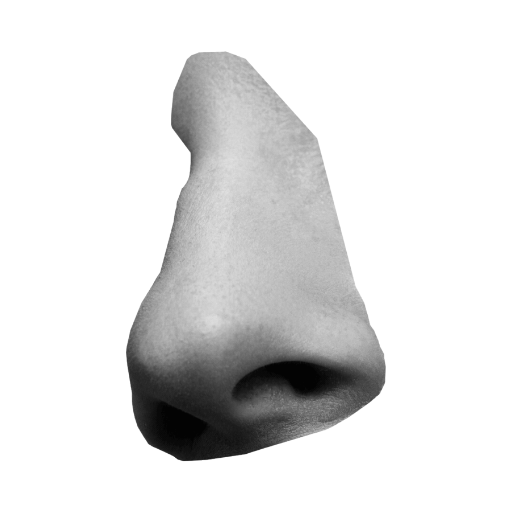 Sniffpay Logo