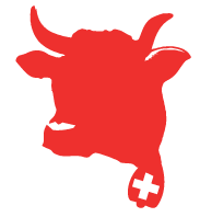 naturalisation-switzerland.ch Logo