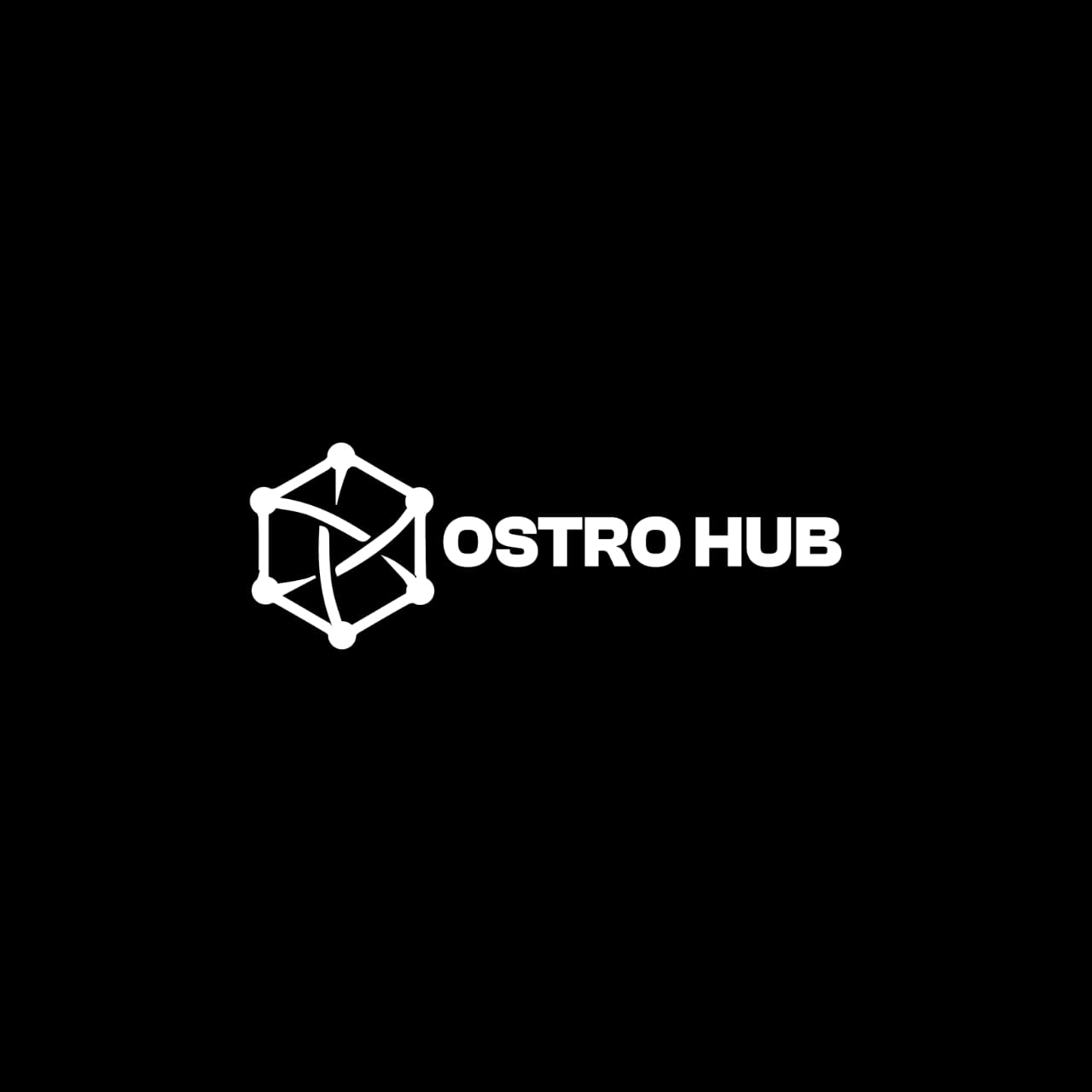 Ostrohub Logo