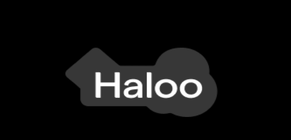 Haloo Logo