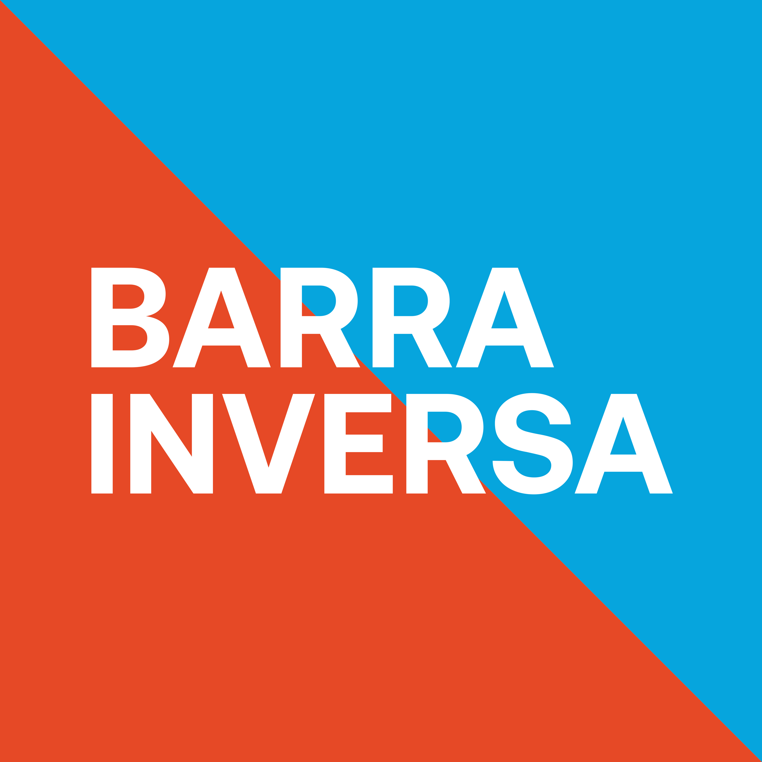 Barrainversa Logo