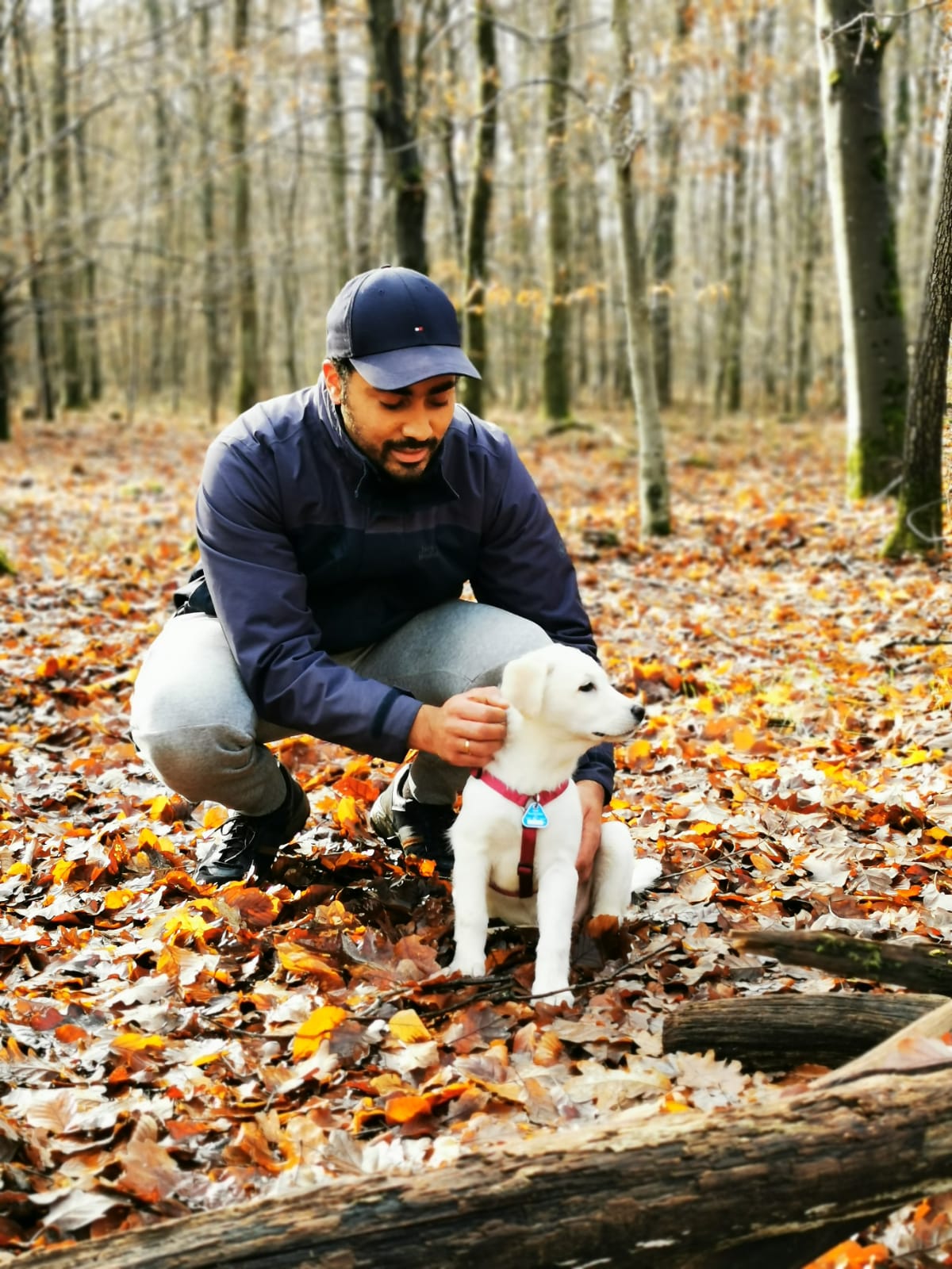 julianbab profile picture