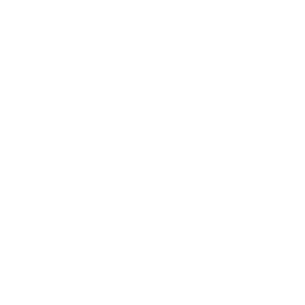 TimeLeak Logo