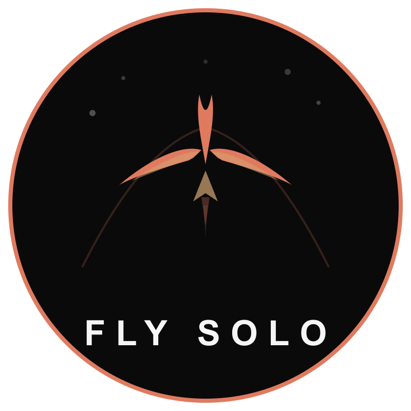 FlySolo.coach Logo